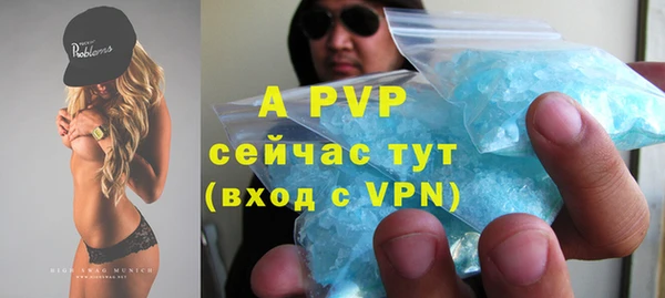 ПСИЛОЦИБИНОВЫЕ ГРИБЫ Сосновка