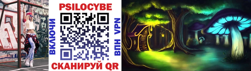 Галлюциногенные грибы MAGIC MUSHROOMS купить закладку darknet официальный сайт Волжск