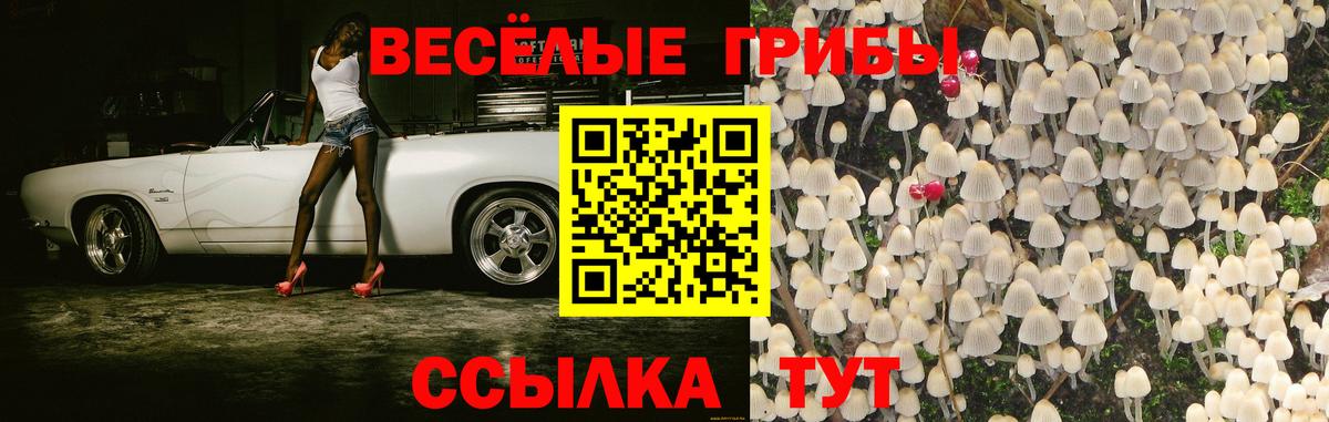 Псилоцибиновые грибы Psilocybine cubensis Волжск