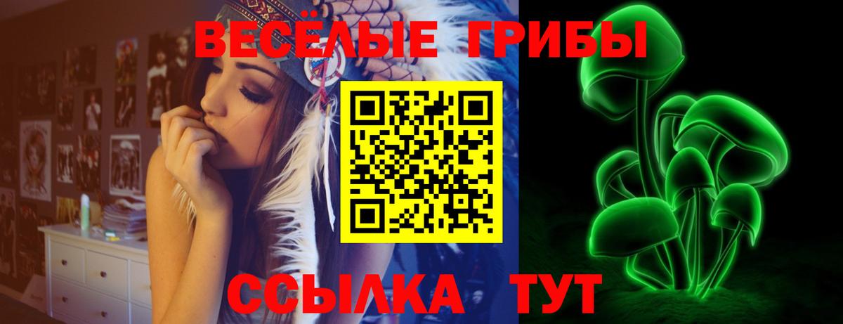 Псилоцибиновые грибы MAGIC MUSHROOMS  Вход с VPN  Галлюциногенные грибы GOLDEN TEACHER  Волжск 