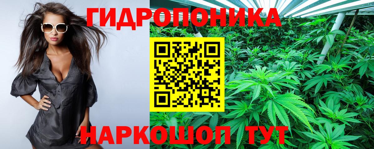 МАРИХУАНА ГИДРОПОН  Вход с VPN  Волжск  Марихуана план  Каннабис LSD WEED  Канабис MAZAR 